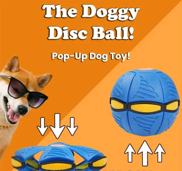 Doggy disc Ball 🐶