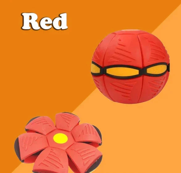 Doggy disc Ball 🐶