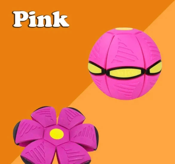 Doggy disc Ball 🐶